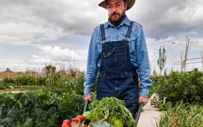 Farm & Harvest Insurance Tips