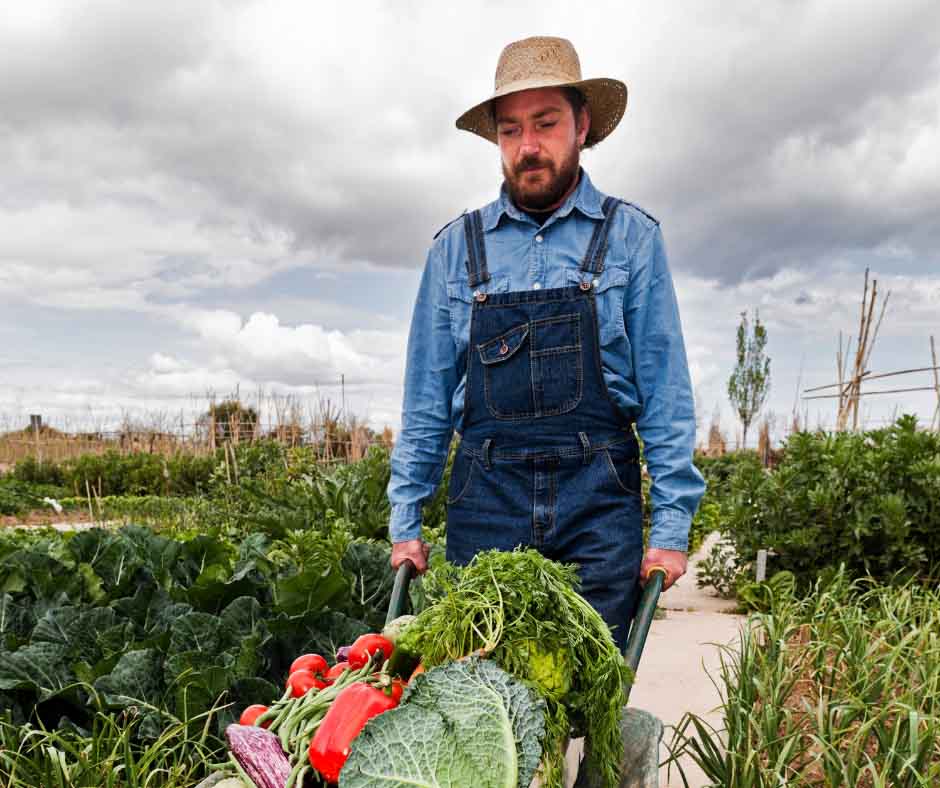 A person wearing a straw hat, blue long-sleeve shirt, and denim overalls stands outdoors in a garden or farm setting. They are holding a wheelbarrow filled with fresh vegetables, including leafy greens and red tomatoes. The background shows rows of plants and a partly cloudy sky. A person wearing a straw hat, blue long-sleeve shirt, and denim overalls stands outdoors in a garden or farm setting. They are holding a wheelbarrow filled with fresh vegetables, including leafy greens and red tomatoes. The background shows rows of plants and a partly cloudy sky.