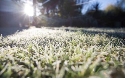 First Frost Checklist