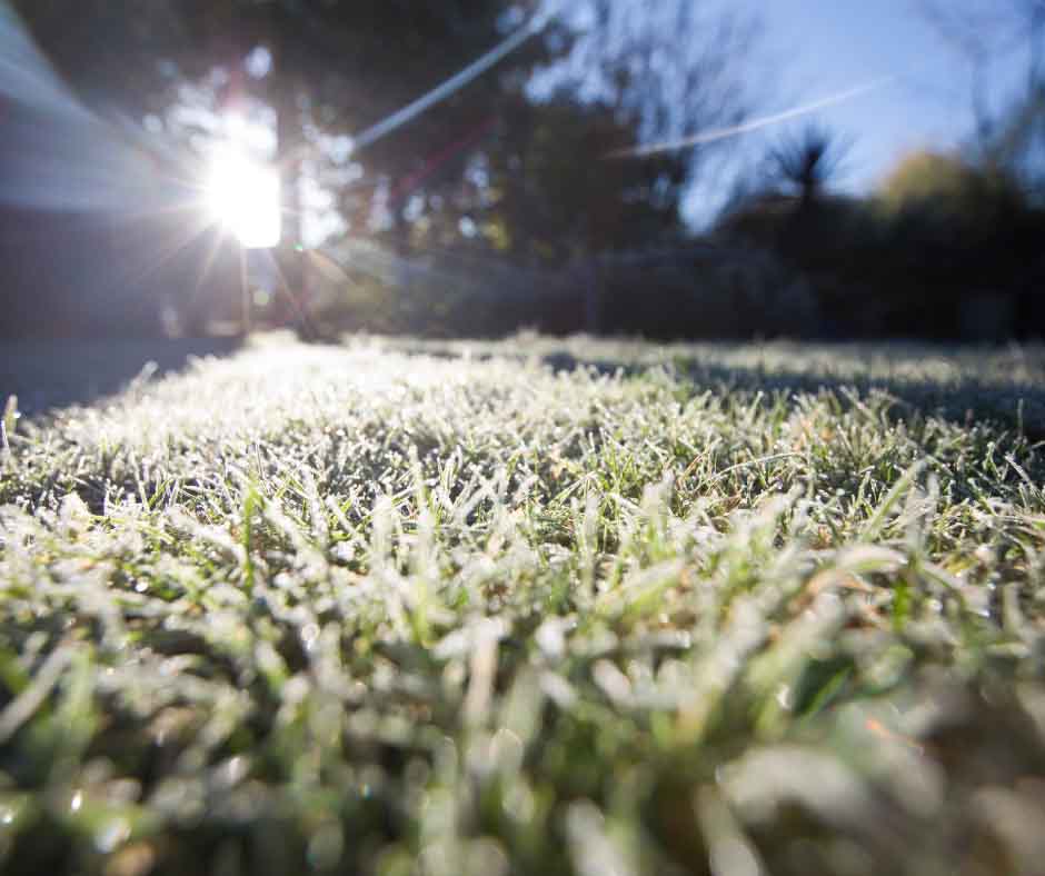 Frost-covered grass in a field with the sun shining brightly in the background, casting a soft glow and creating a cold, early morning atmosphere. Frost-covered grass in a field with the sun shining brightly in the background, casting a soft glow and creating a cold, early morning atmosphere.