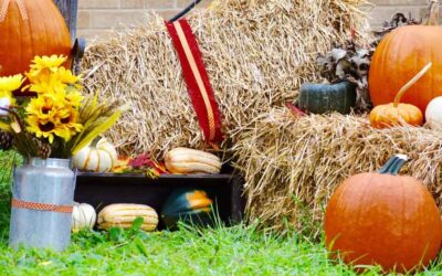 Local Fall Festivals Safety Tips