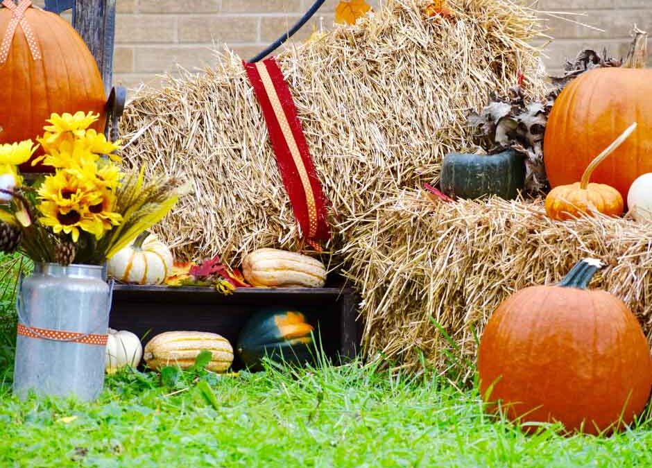 Local Fall Festivals Safety Tips