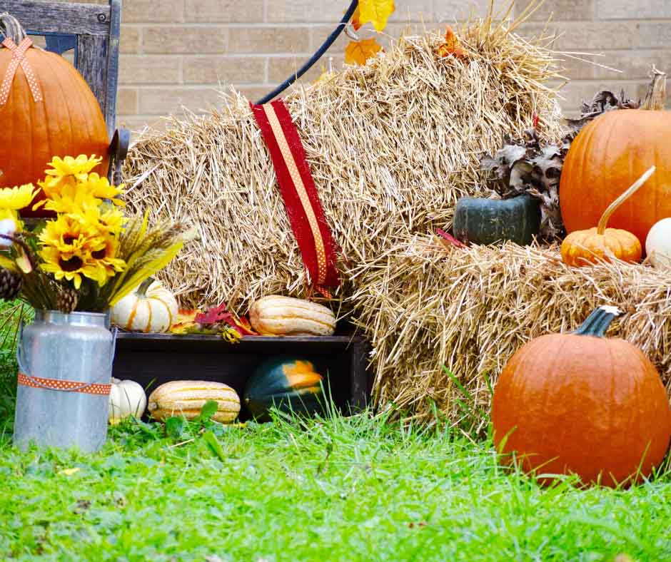 A fall-themed outdoor display featuring several pumpkins of different sizes, hay bales with a red and beige striped ribbon, and a metal vase filled with yellow sunflowers and other small flowers. The scene is set on green grass with a brick wall in the background. A fall-themed outdoor display featuring several pumpkins of different sizes, hay bales with a red and beige striped ribbon, and a metal vase filled with yellow sunflowers and other small flowers. The scene is set on green grass with a brick wall in the background.