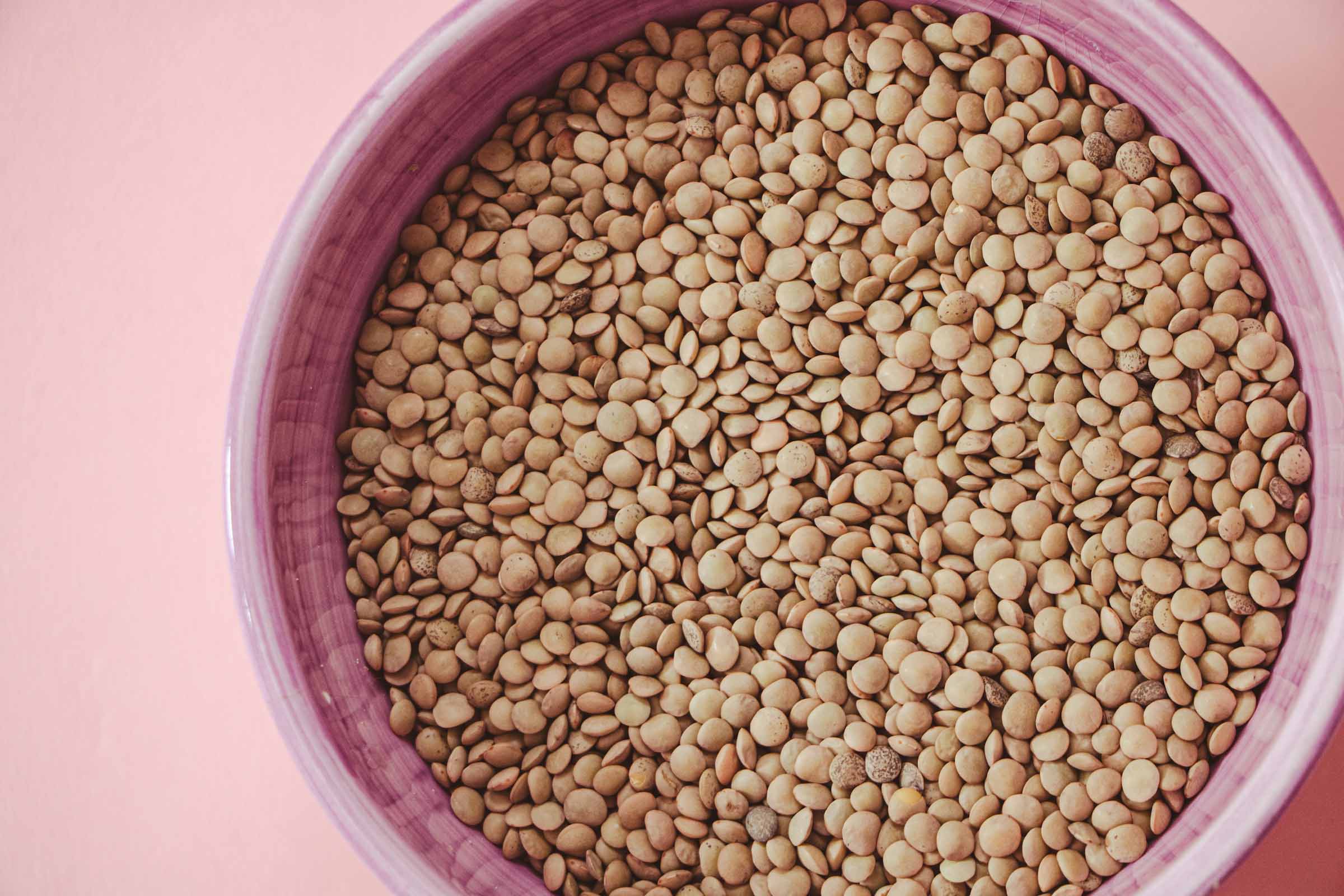 A round, shallow bowl filled to the brim with dry lentils. The bowl has a pinkish-purple rim and interior; the lentils are small, round, and pale brownish-green (typical of brown or green lentils).